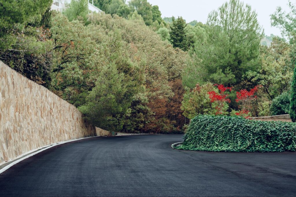 A windy paved driveway surrounded by a retaining wall and plants.